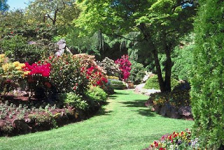 flowers for flower lovers.: July 2011