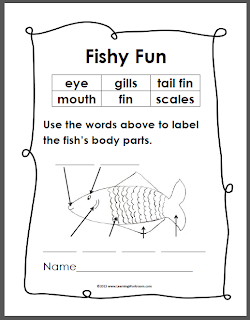 Worksheets Labeling Of Of A Fish Body learning ideas grades k 8 simple fish anatomy diagram monday april 29 2013