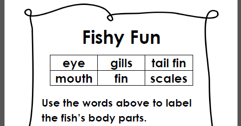 Learning Ideas - Grades K-8: Simple Fish Anatomy Diagram