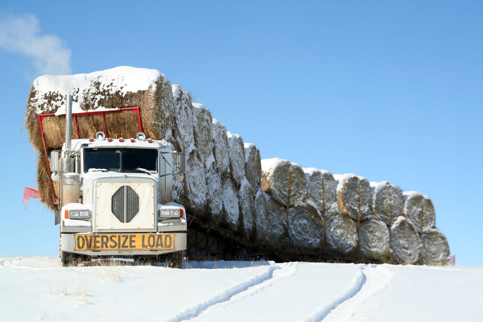 Double H Photography Hauling Hay