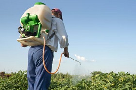 Residuos de pesticidas en la comida 