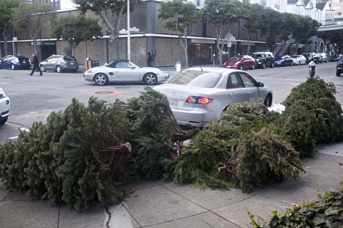 Christmas tree dying? Chip it Passyunk Post