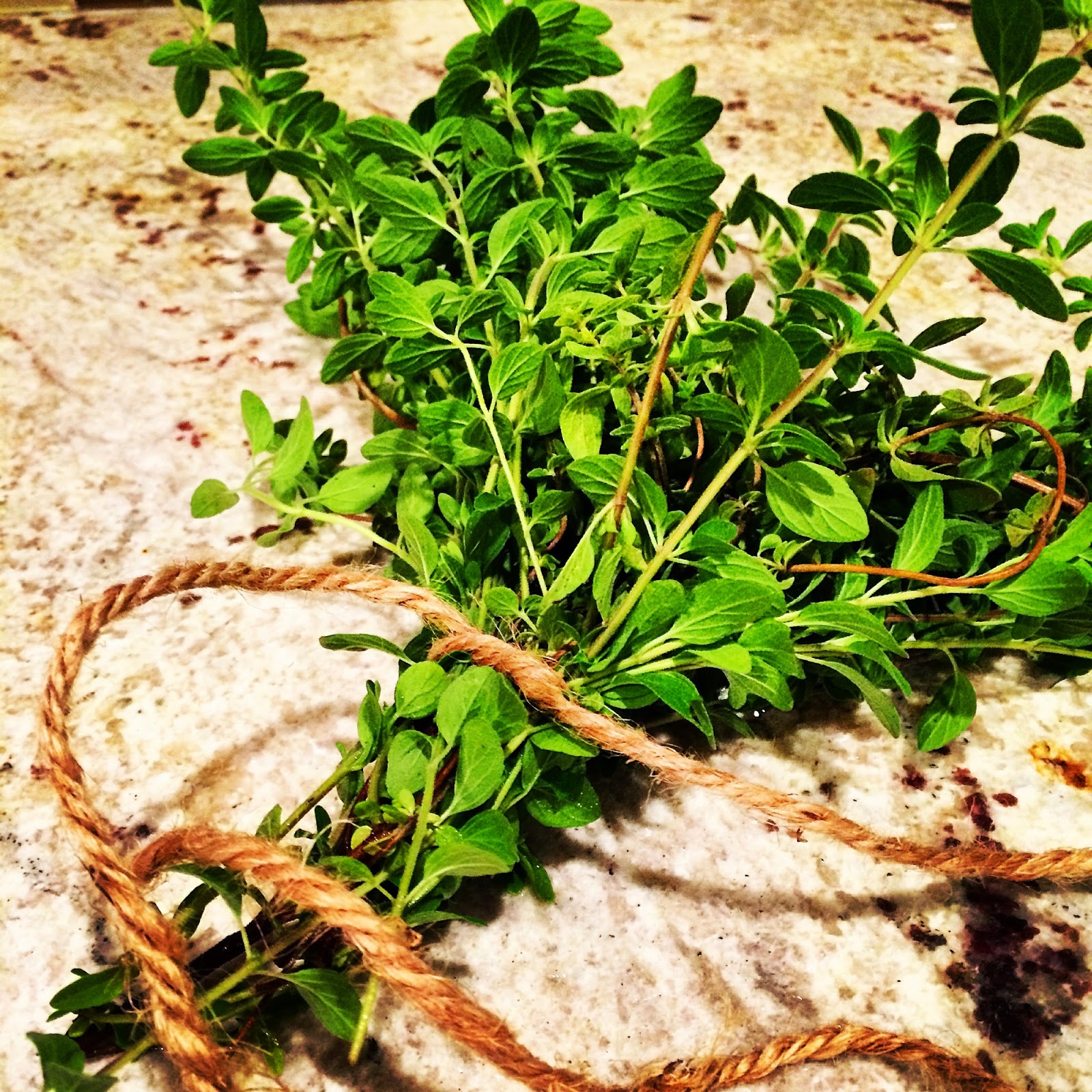 Project Refurb 5 Steps To Make Your Own Dried Oregano