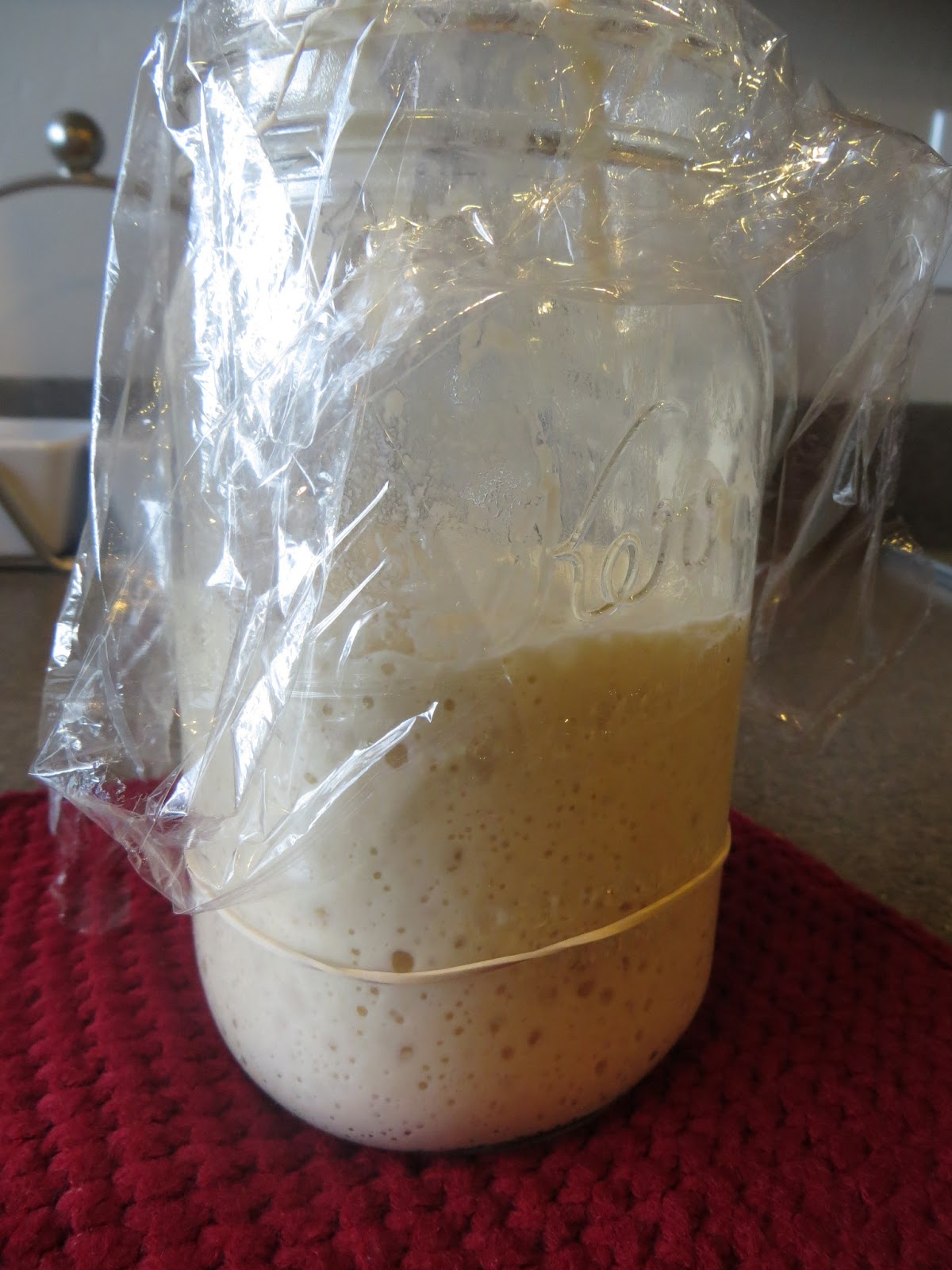 Adventures with Natural Yeast Natural Yeast Starter made from Raisins