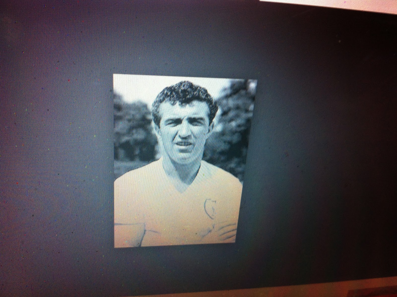 THE BLACK SOCIAL HISTORY BLACK SOCIAL HISTORY AFRICAN AMERICAN