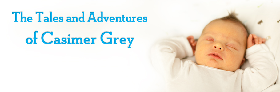 The Tales and Adventures of Casimer Grey