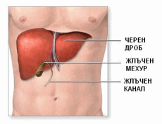 Aloe4you 14 Hrani Koito Chistyat Cherniya Drob