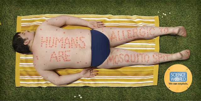 Humans are allergic to mosquito spit