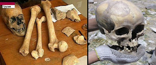 Fosil Tengkorak dan tulang Raksasa Georgia