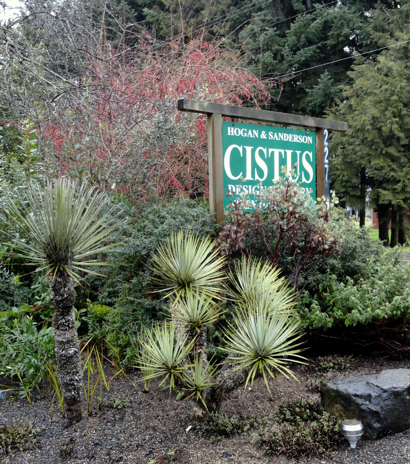 Late To The Garden Party