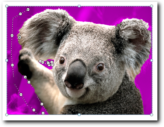 Cara menghilangkan background sebuah gambar di Ms Word 2010 | @Si_W0nk