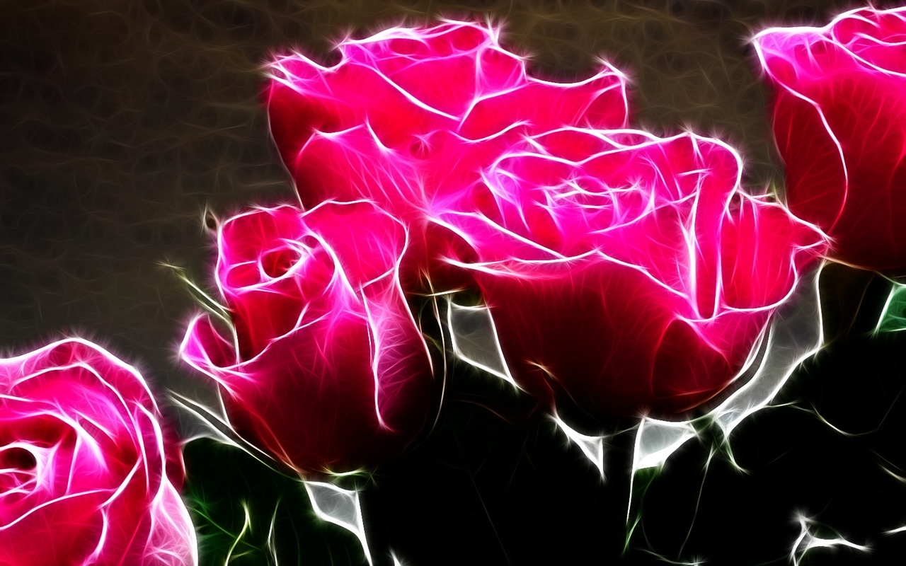 Hot-Pink-Roses-roses.jpg