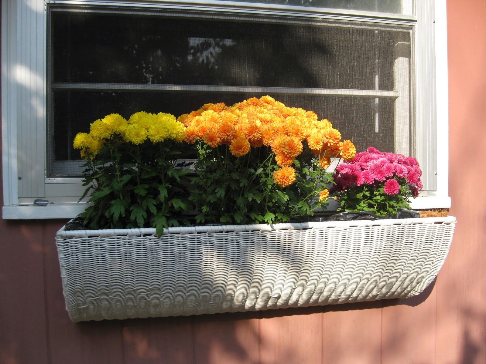 Creative Quest New Window Baskets