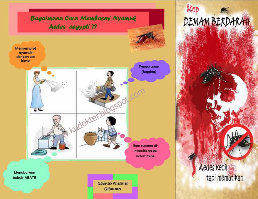 Cara Mengobati Demam Berdarah Pada Anak - Kudokter Herbal ...