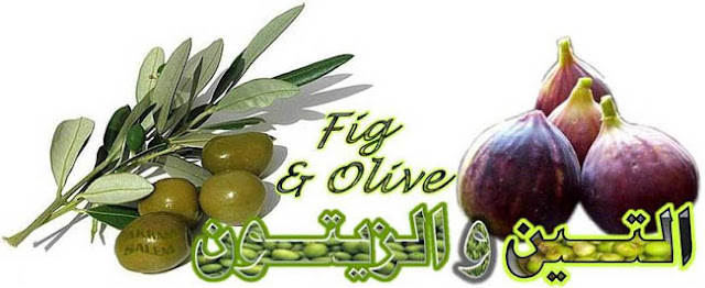 التين والزيتون يدخلان فريق بحث ياباني الإسلام Fig+olive