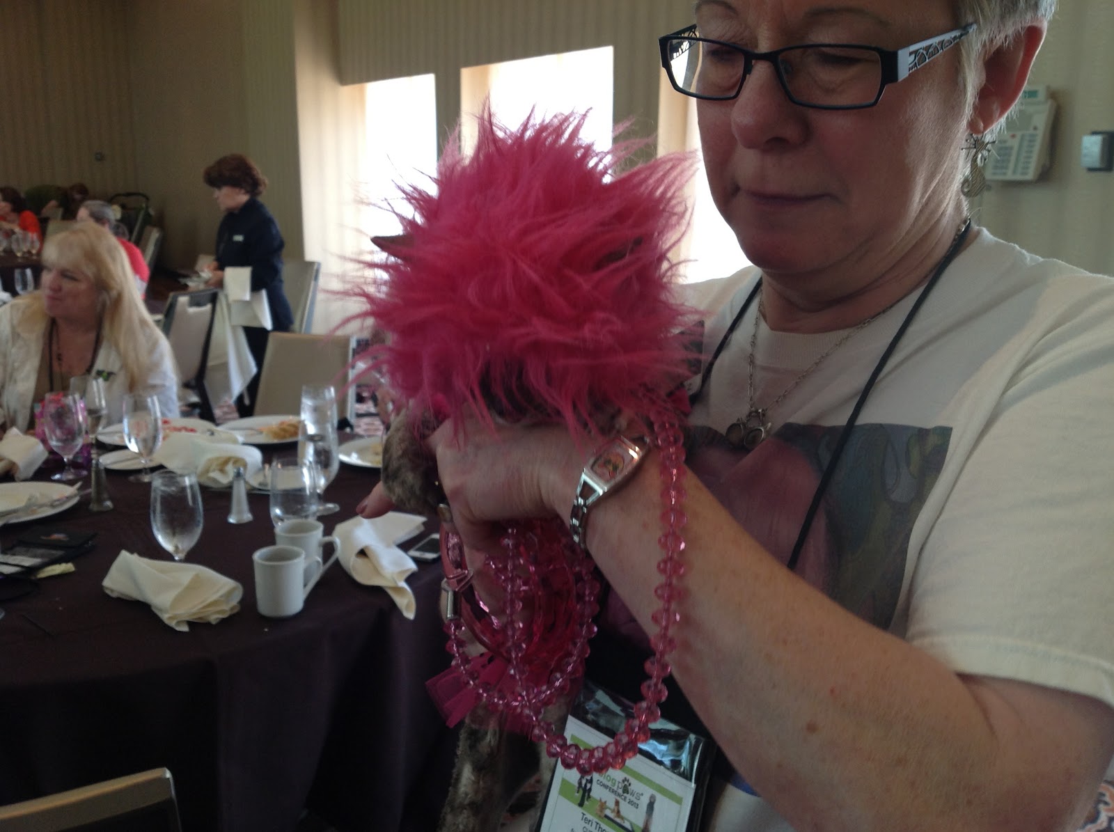 PerPETually Speaking: BlogPaws 2013