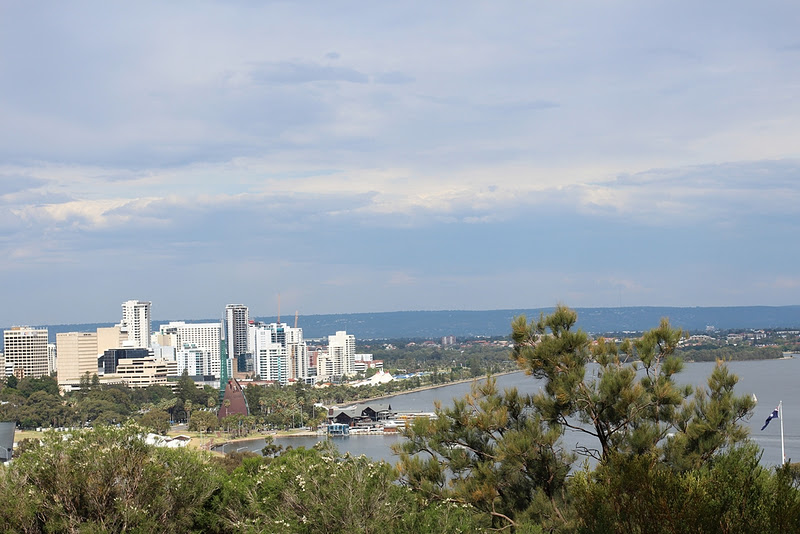 Food Endeavours of the Blue Apocalypse Snickerdoodle Blondies Picnic at Kings Park