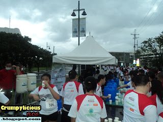 earth run 2011