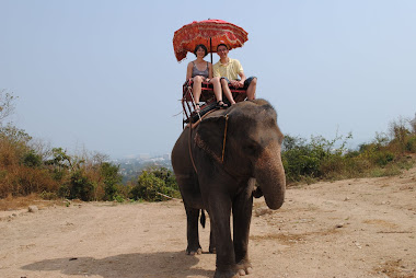 Elenfanten "Dumbo" 23 år og dame