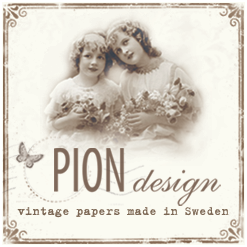 I Design for Pion Design