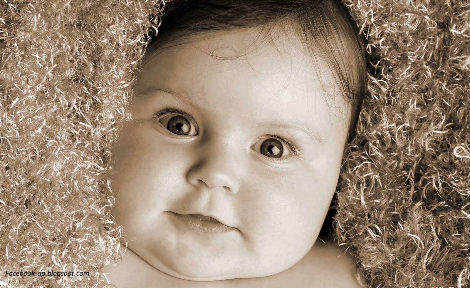Facebook dp: Latest Facebook Babies pictures-dp, free download fb ...