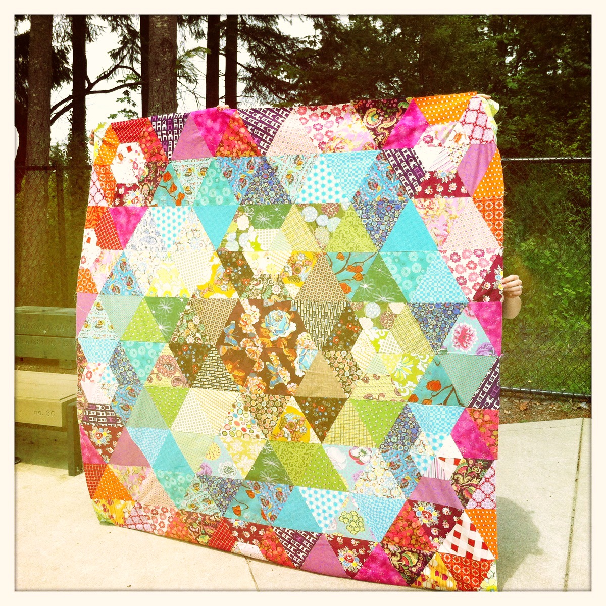 Duke Says Sew What Finished Prism Patchwork Quilt!
