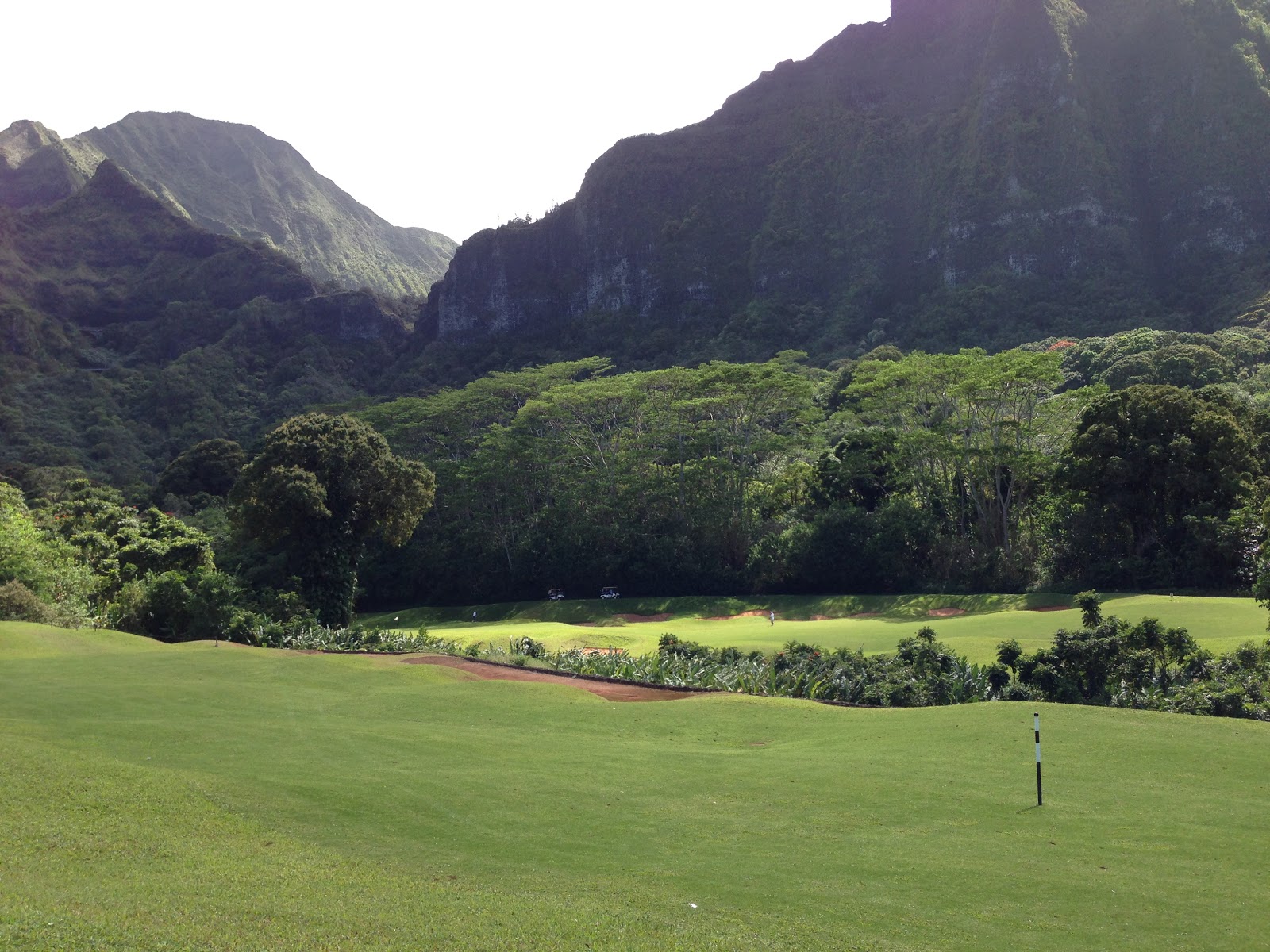 TASTE OF HAWAII KO'OLAU GOLF CLUB KANEOHE, HAWAII