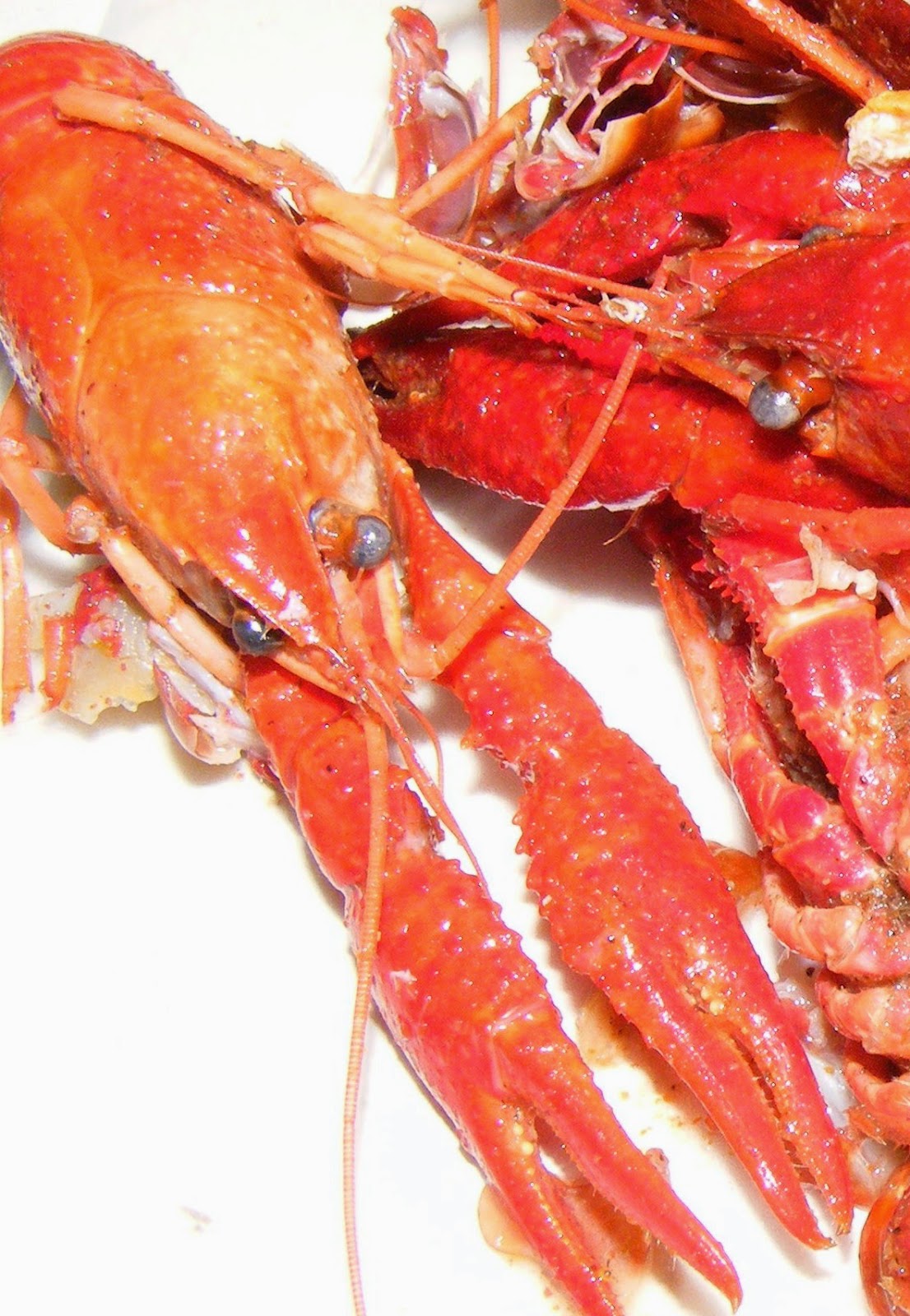 Oh La LaY'all......French Style and Southern Charm Crawfish Red Pepper