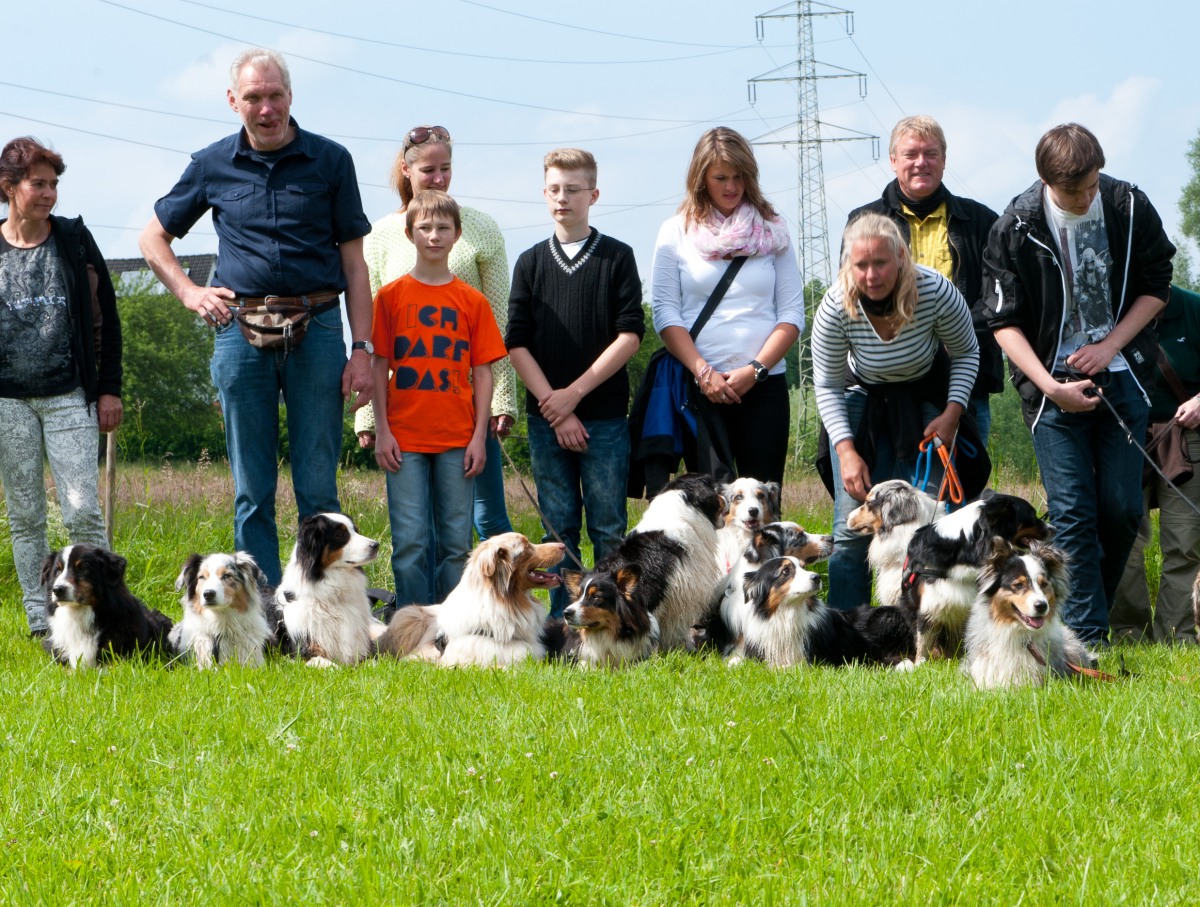 Australian Shepherd`s im Hotel Blumengarten 