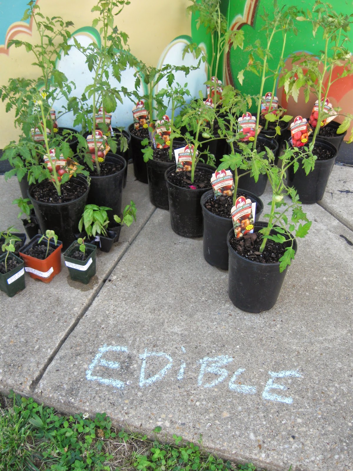 8th Annual DC Plant Swap Details