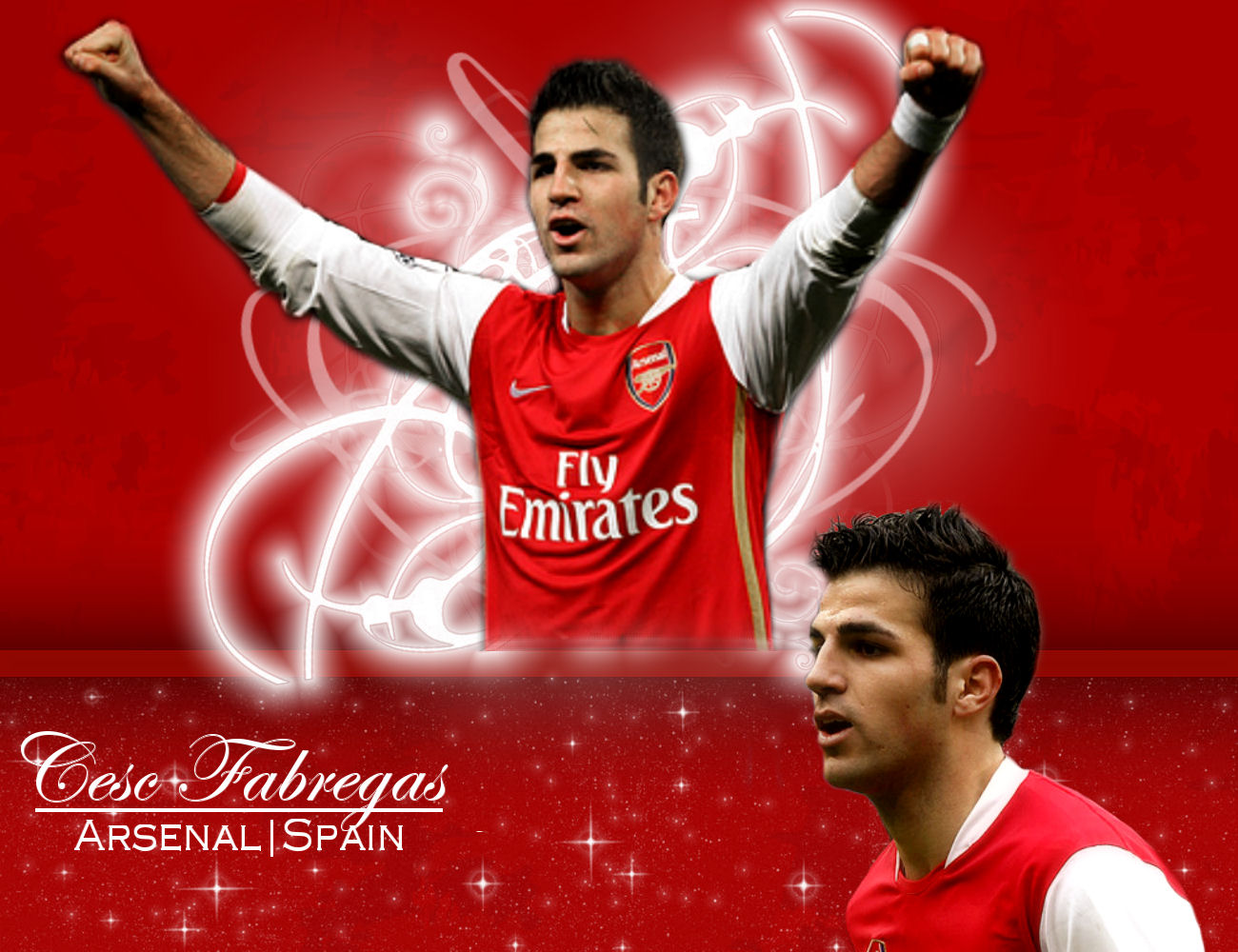  other wallpapers of Cesc Fabregas Wallpaper 2009 as often as possible