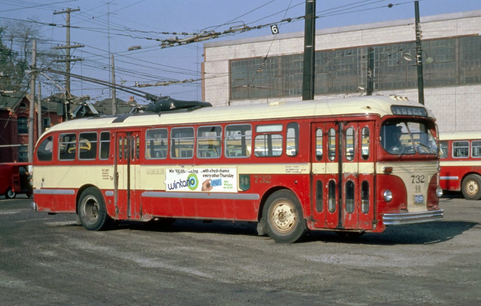transpress nz Hamilton, Canada, trolley bus