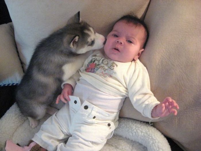 Funny pictures of kids and animals (30 pics) Amazing Creatures