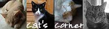 Cat´s Corner Challenge Blog