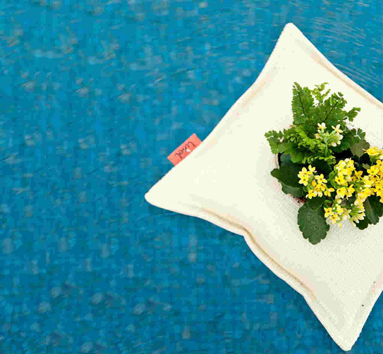 Studio Libel’s Pillow Pots decorates your home creatively Spicytec