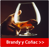 Brandys