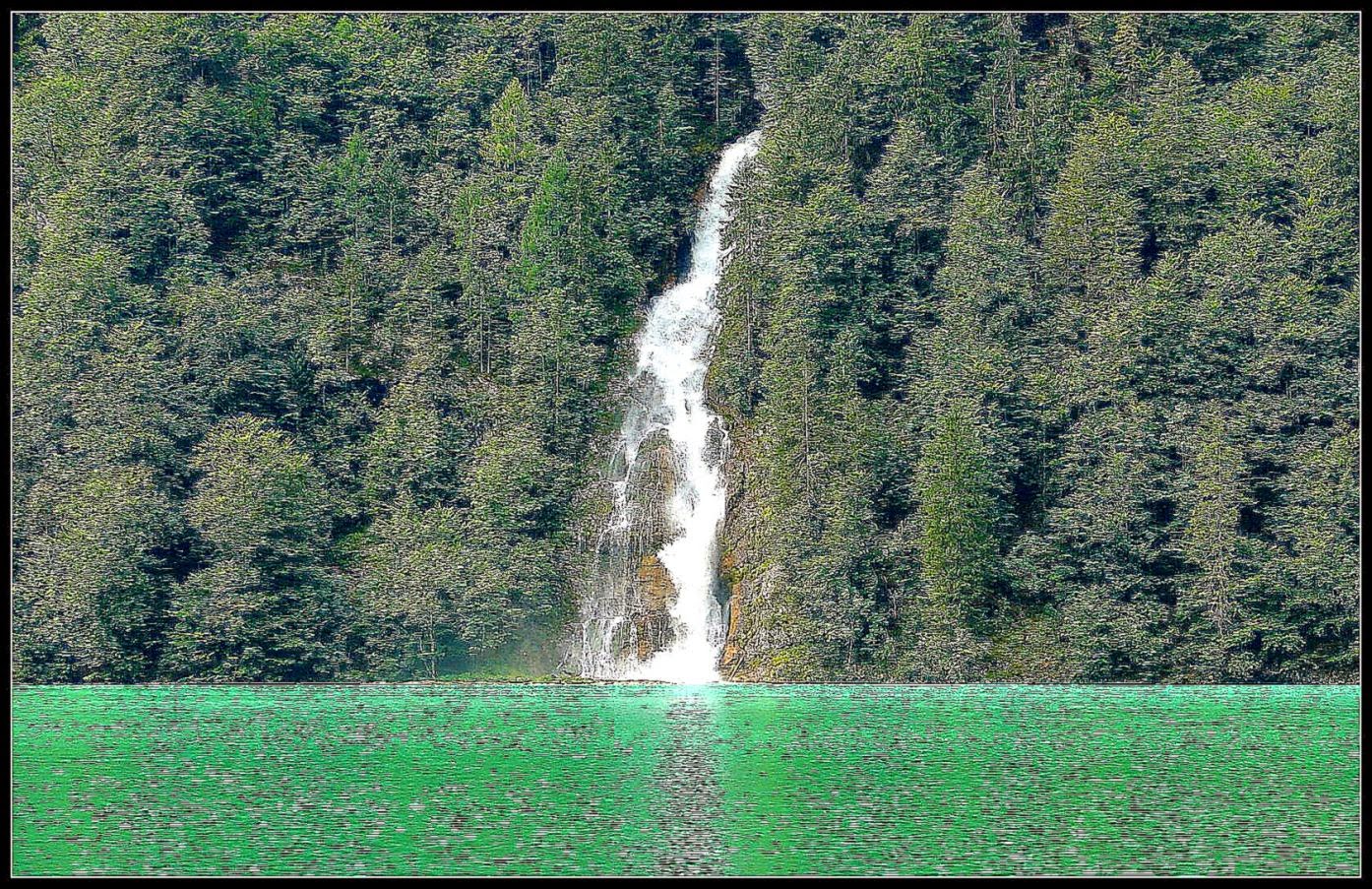 Nature Trees Waterfall Wallpapers and Background Nature Trees Waterfall Wallpapers and Background