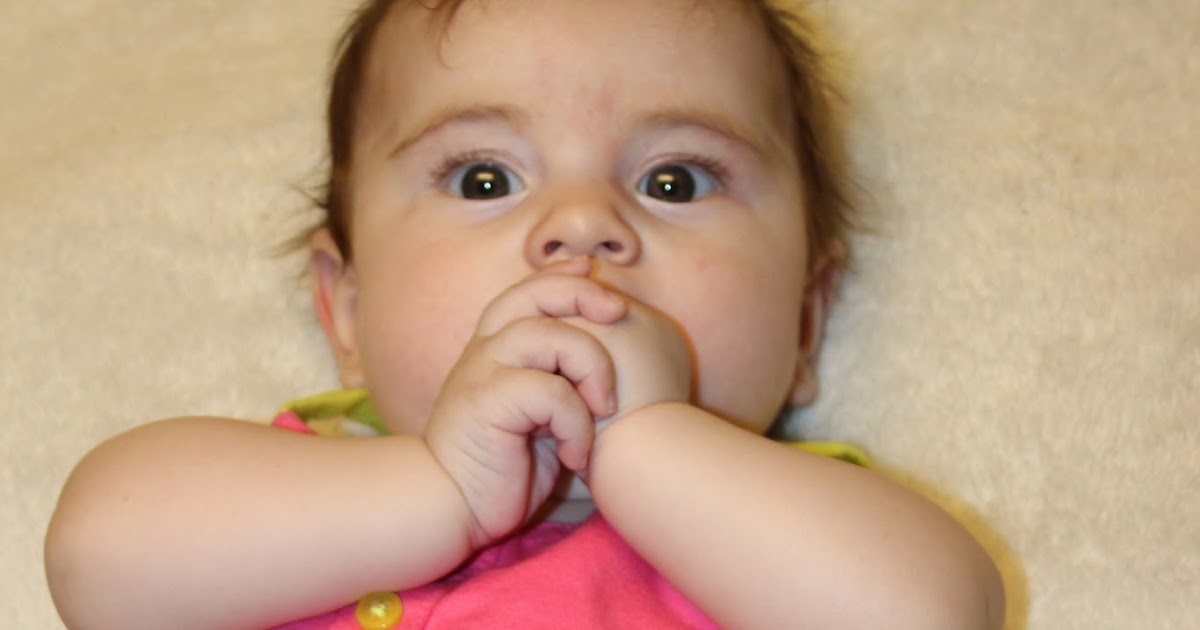 Froggied Princess Our life with a WheatonPavlik Harness Froggie is