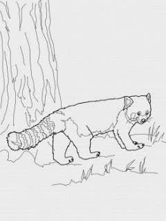 Andy Panda Coloring Pages