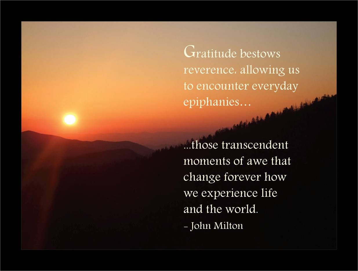 Beautiful Gratitude Quotes