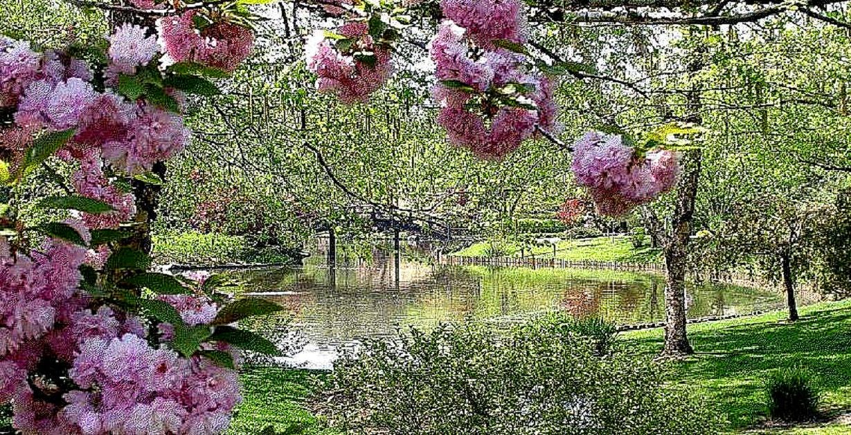 SPRING GARDEN WALLPAPER 47894 HD Wallpapers SPRING GARDEN WALLPAPER 47894 HD Wallpapers