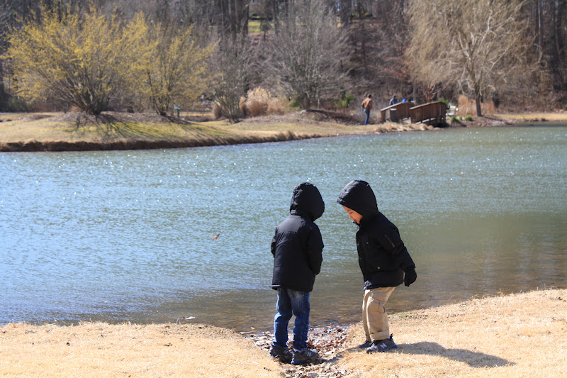 Meadowlark Botanical Gardens In Winter