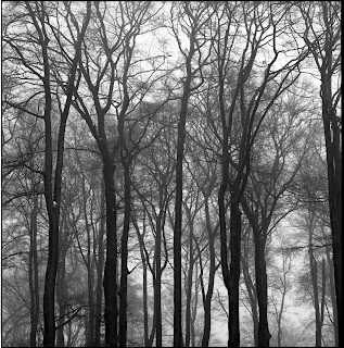 Winterbilder aus Wuppertal
