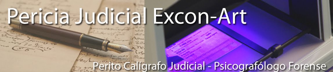 Pericia Judicial Excon-Art Pontevedra