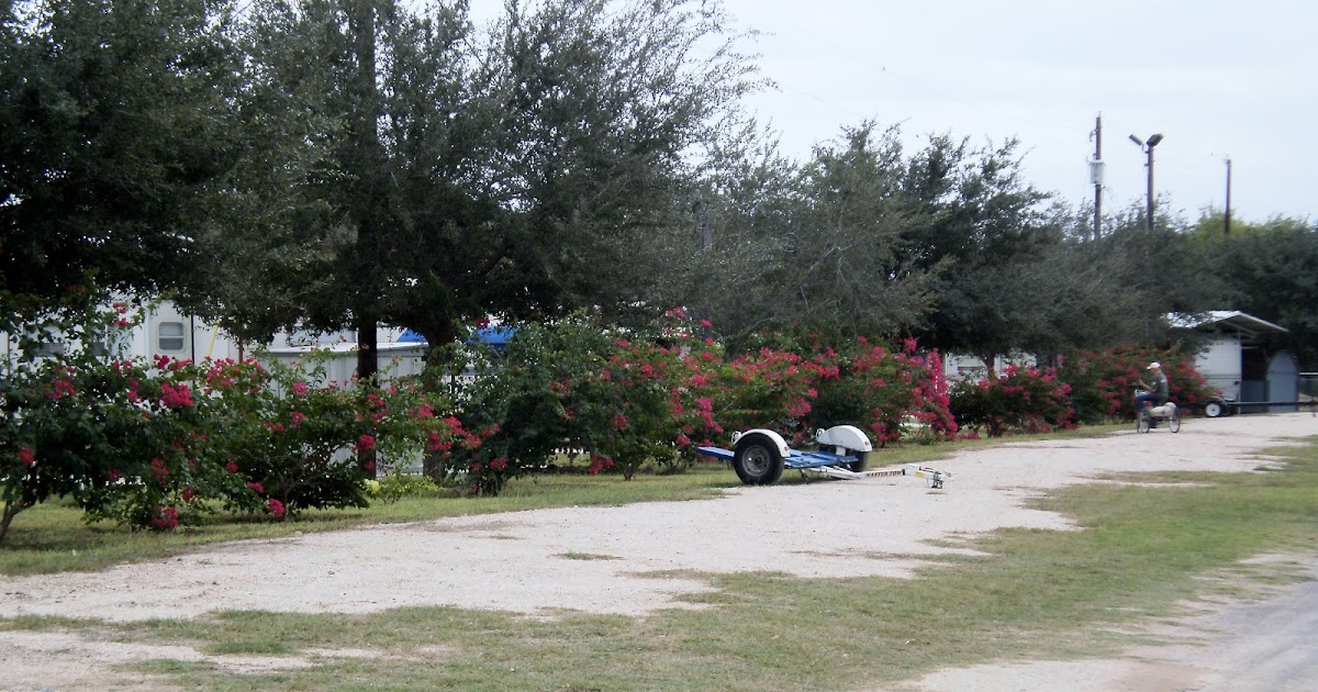 Anna's Chronicles Donna, Texas