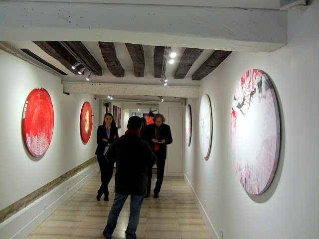 Pensées Hybrides exposition 2015, Jola idi Gallery