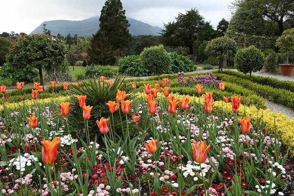 Killarney National Park - the oldest Ireland castle gardens