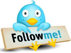 Twitter Follow Me