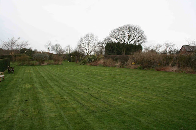 Bluebell Cottage – the first five years – Part Two