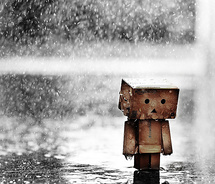 Danbo  on Now And Forever            Danbo